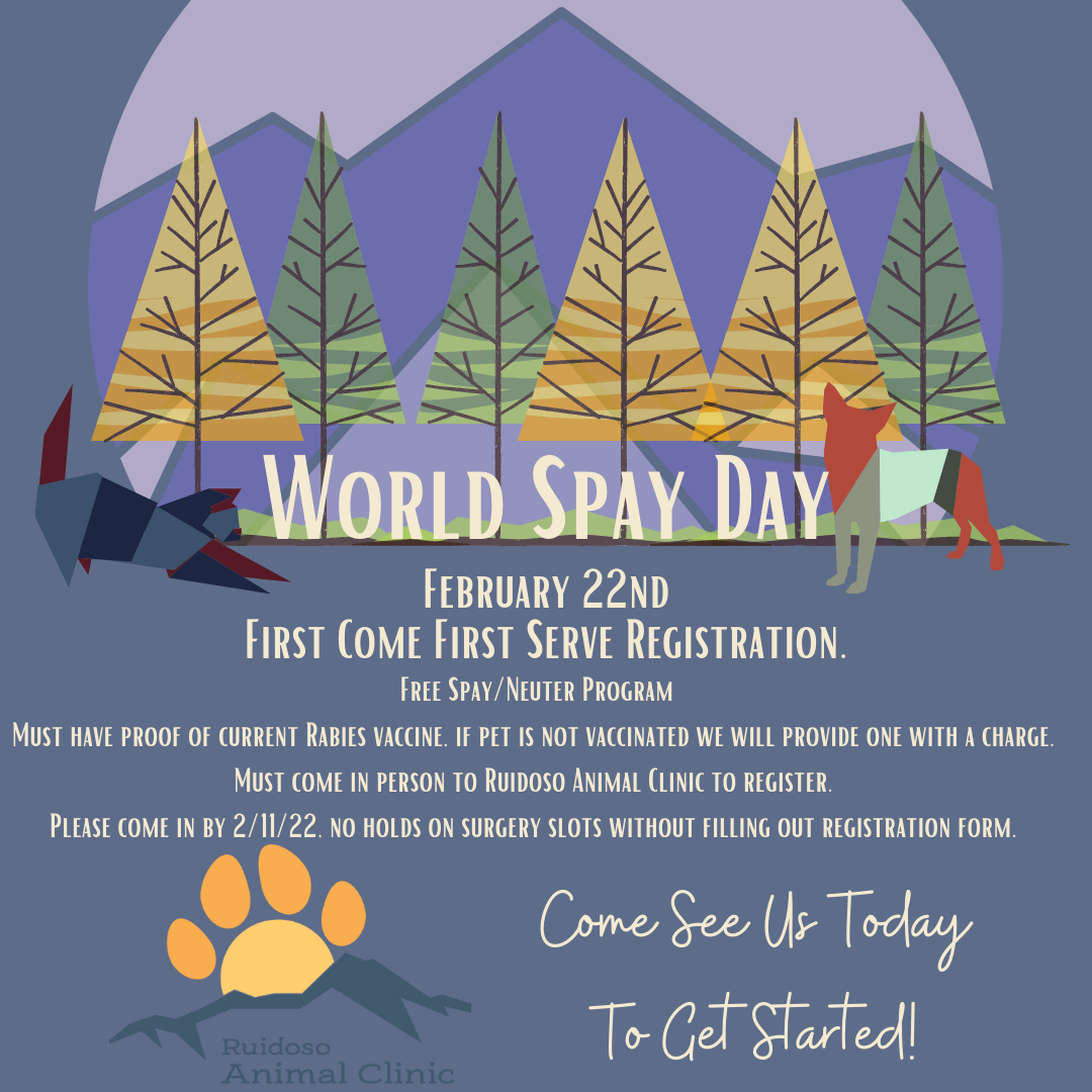World Spay Day Official Website of the Mescalero Apache Tribe